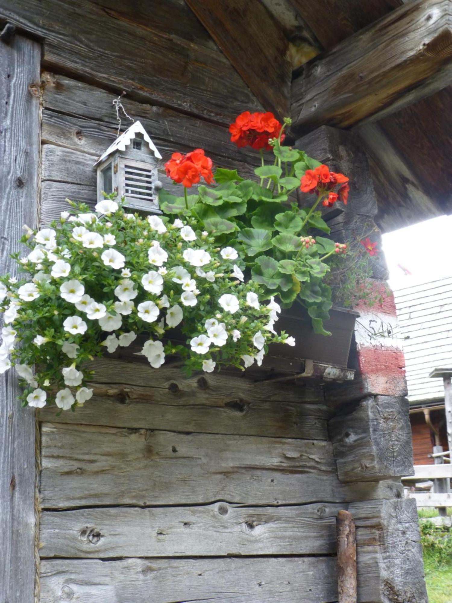 B&B,Bergheimat Oase Irschen Buitenkant foto