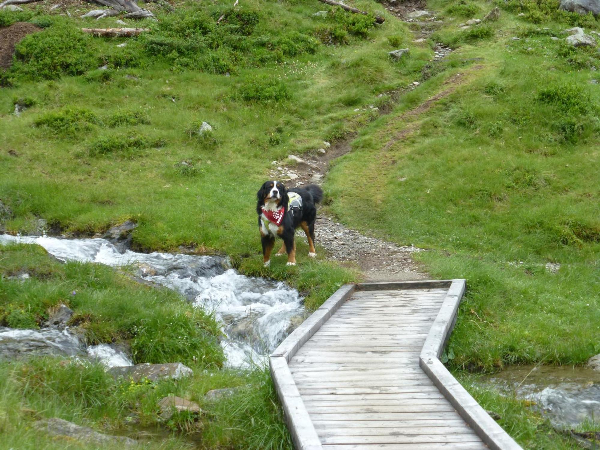 B&B,Bergheimat Oase Irschen Buitenkant foto