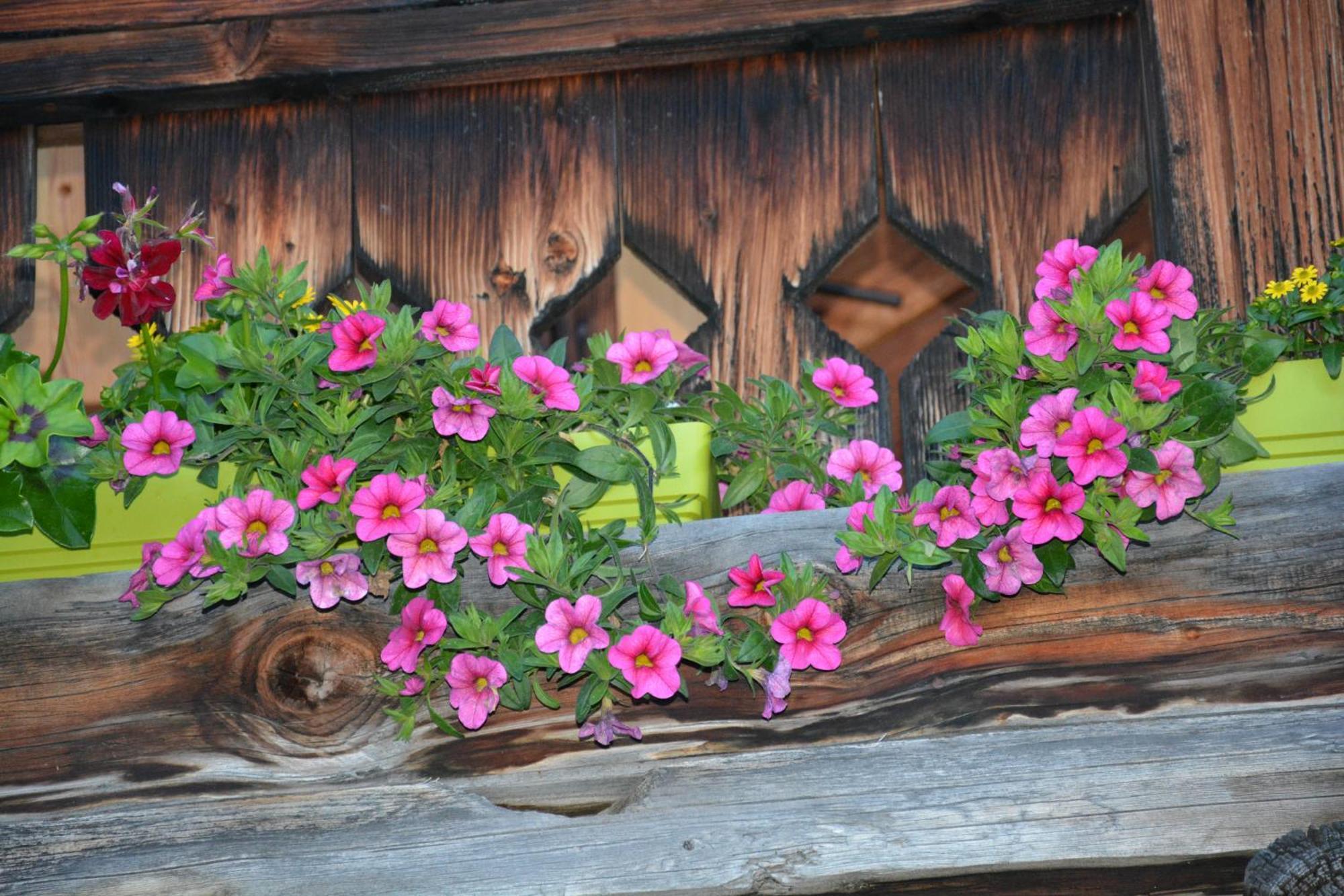 B&B,Bergheimat Oase Irschen Buitenkant foto