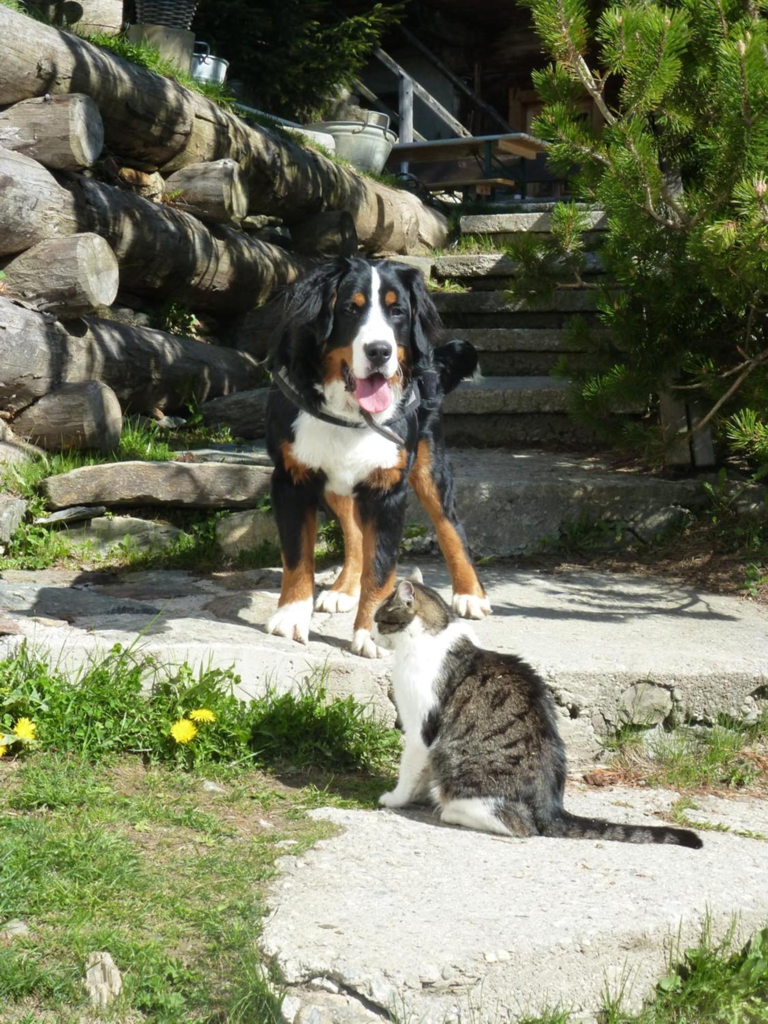 B&B,Bergheimat Oase Irschen Buitenkant foto